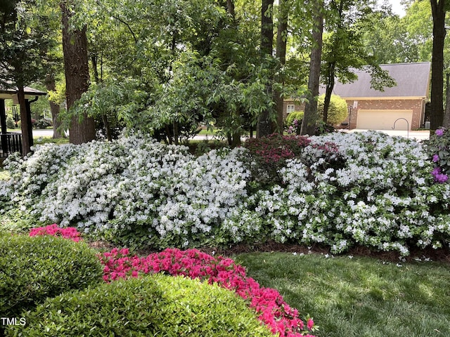 102 Pin Oak Ct, Elon, NC 27244 - view of yard with an attached garage