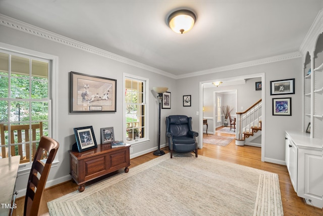 102 Pin Oak Ct, Elon, NC 27244 - office with wood finished floors, plenty of natural light, ornamental molding, and baseboards