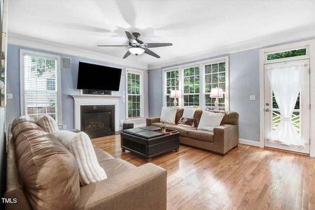 1128 Neuse Ridge Dr, Clayton, NC 27527 - living area with ornamental molding, a ceiling fan, a glass covered fireplace, light wood-style flooring, and baseboards