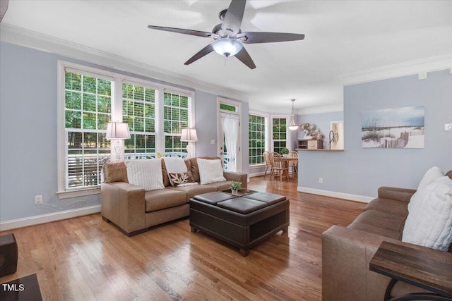1128 Neuse Ridge Dr, Clayton, NC 27527 - living area with crown molding, baseboards, a ceiling fan, and wood finished floors