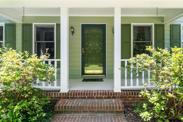 1006 Apache Ln, Apex, NC 27502 - view of exterior entry with covered porch