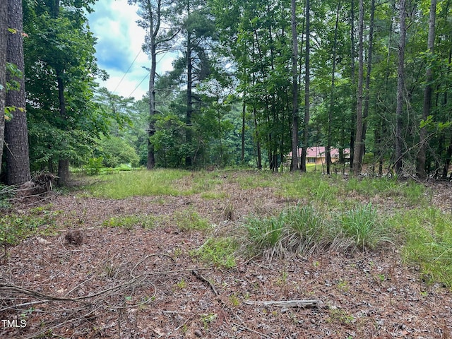 0 John Emerson Rd, Siler City, NC 27344