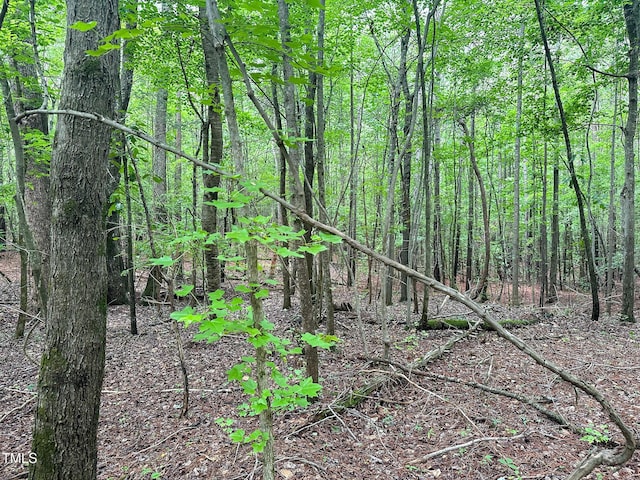 0 John Emerson Rd, Siler City, NC 27344