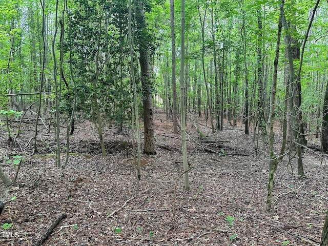 0 John Emerson Rd, Siler City, NC 27344