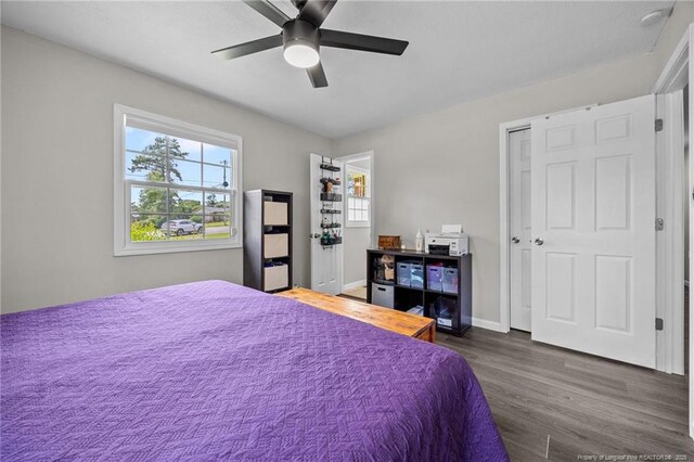701 Dandridge Dr, Fayetteville, NC 28304 - bedroom with multiple windows, dark wood finished floors, ceiling fan, and baseboards