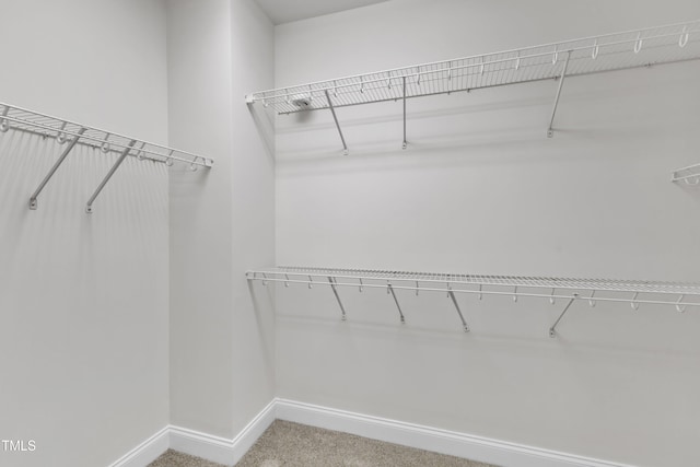 10511 Sablewood Dr Unit 107, Raleigh, NC 27617 - walk in closet featuring light carpet