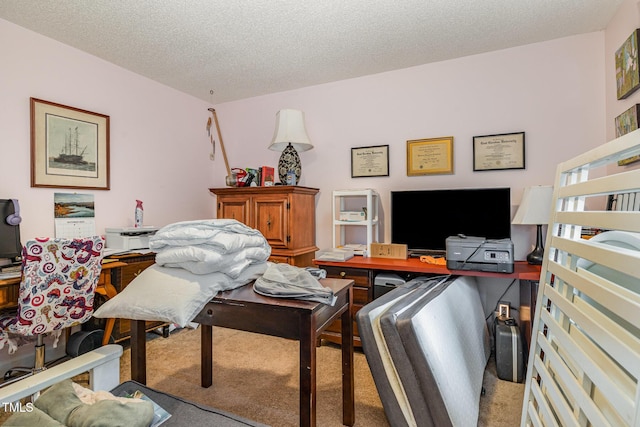 110 Windyfield Dr, Goldsboro, NC 27530 - home office with carpet flooring and a textured ceiling