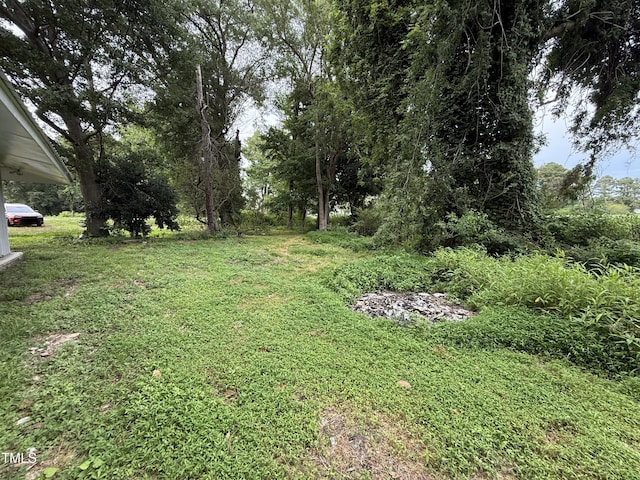340 Jones Rd, Newton Grove, NC 28366 - photo 4