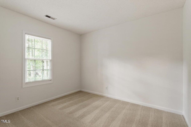 205 Mint Hill Dr, Cary, NC 27519 - spare room with light carpet and a textured ceiling
