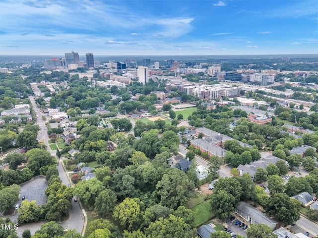 918 N Blount St, Raleigh, NC 27604 - photo 9