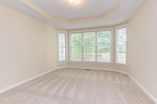 2026 Heritage Pines Dr, Cary, NC 27519 - empty room featuring light carpet, healthy amount of natural light, and a raised ceiling