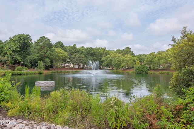 2026 Heritage Pines Dr, Cary, NC 27519 - water view