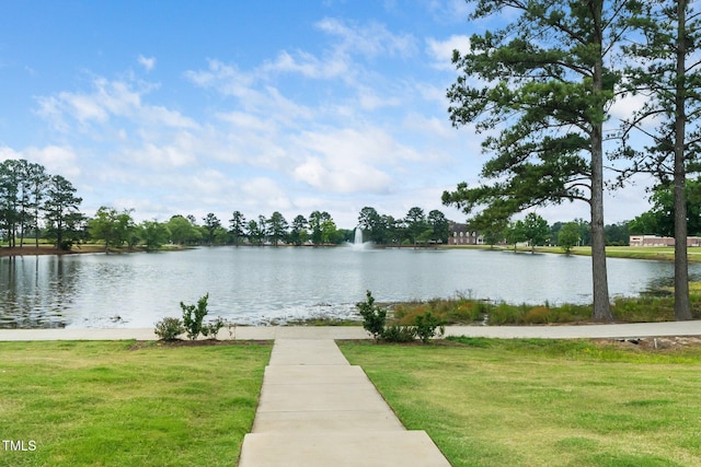 109 Periwinkle Pl, Clayton, NC 27527 - water view