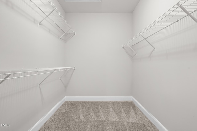 44 Good Morning Ln, Garner, NC 27529 - walk in closet with carpet