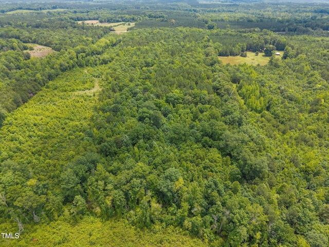00 Robert Morgan Rd, Bullock, NC 27507