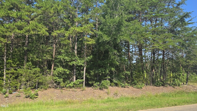 00 Robert Morgan Rd, Bullock, NC 27507 - photo 2
