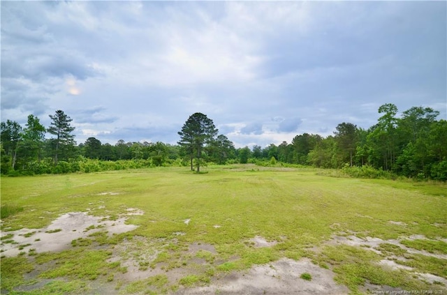 1865 John B Carter Rd, Fayetteville, NC 28312 - view of yard with a wooded view