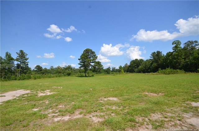 1865 John B Carter Rd, Fayetteville, NC 28312 - photo 37