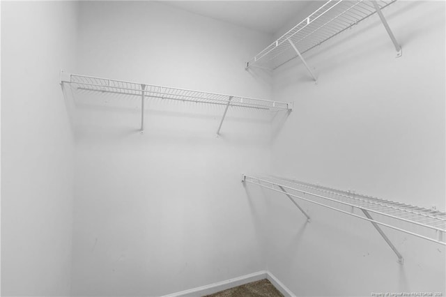 1419 Acacia Dr, Fayetteville, NC 28314 - view of walk in closet