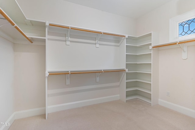 218 W Barbee Chapel Rd, Chapel Hill, NC 27517 - walk in closet with carpet