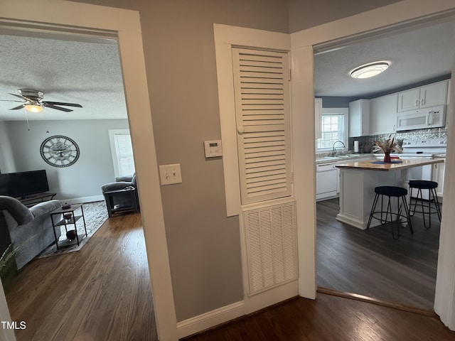 306 W Canary St, Dunn, NC 28334 - hallway with a sink, a textured ceiling, dark wood-type flooring, and baseboards