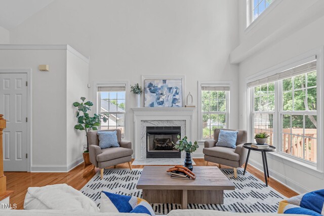 2575 Primrose Ln, Creedmoor, NC 27522 - living area with high vaulted ceiling, a premium fireplace, and wood finished floors