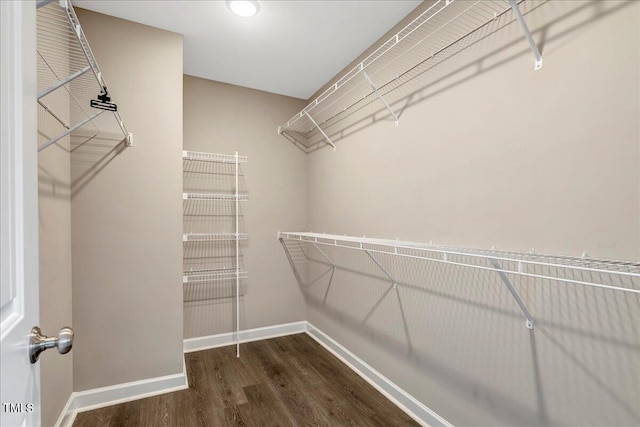 131 Hawick Ct, Zebulon, NC 27597 - walk in closet with wood finished floors