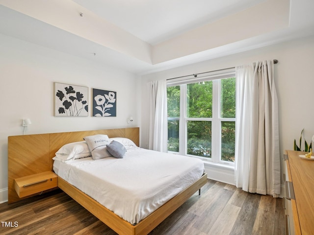 222 Glenwood Ave Unit 213, Raleigh, NC 27603 - bedroom with wood finished floors and a raised ceiling