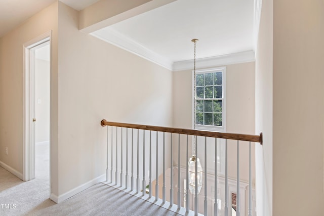 809 Green Passage Ln, Apex, NC 27502 - photo 11