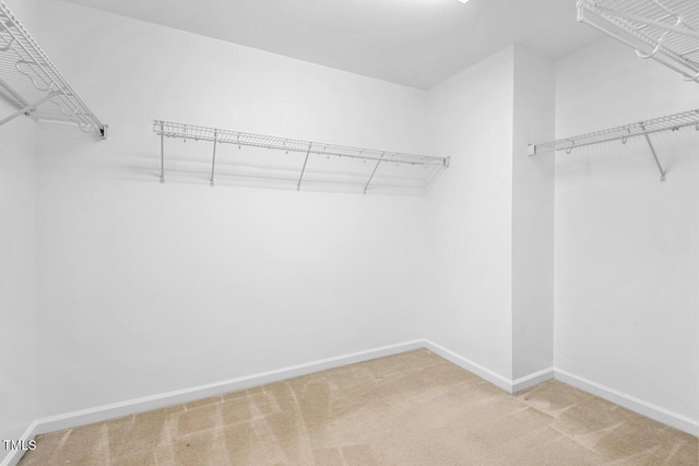 210 Strolling Way, Durham, NC 27707 - walk in closet with carpet flooring