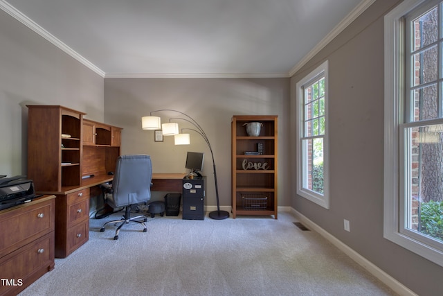405 Widdington Ln, Cary, NC 27519 - home office with carpet flooring and crown molding