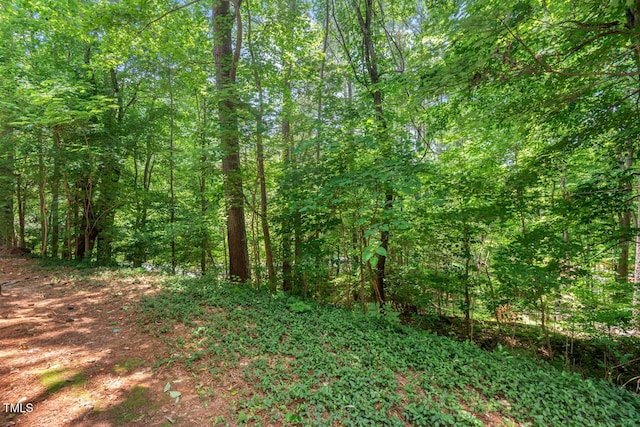 106 Choptank Ct Unit B-2, Cary, NC 27513 - view of tree filled area