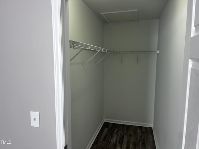1527 Haywards Heath Ln, Apex, NC 27502 - spacious closet featuring dark wood-style flooring and attic access
