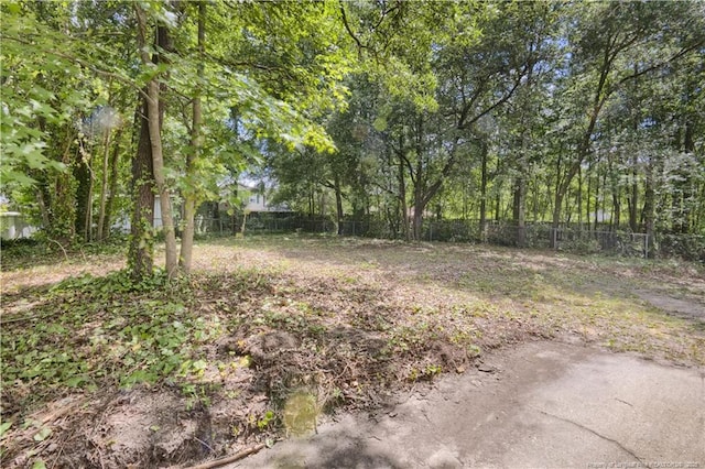 6263 Stoney Point Loop, Fayetteville, NC 28306 - view of yard