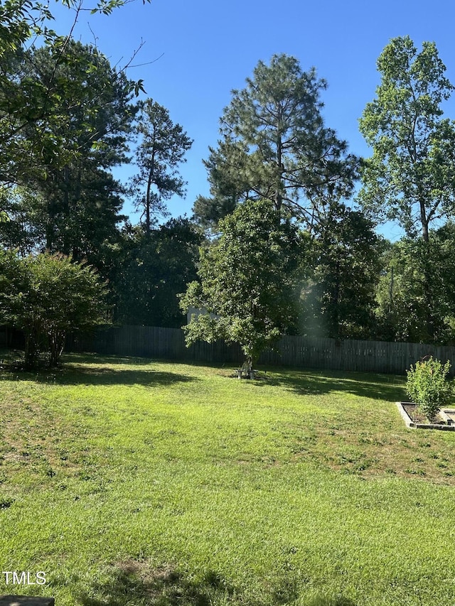 75 Mountainside Ln, Sanford, NC 27332 - view of yard