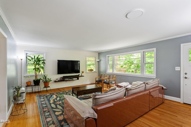 7 Woodward Way, Chapel Hill, NC 27516 - living room with ornamental molding, wood finished floors, and baseboards