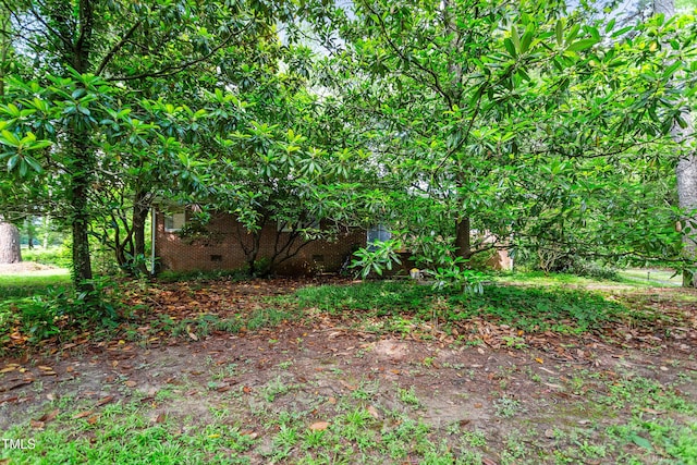 7 Woodward Way, Chapel Hill, NC 27516 - view of yard