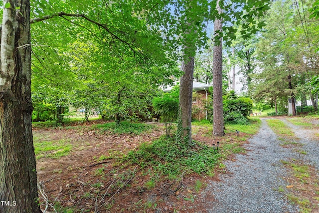 7 Woodward Way, Chapel Hill, NC 27516 - view of yard