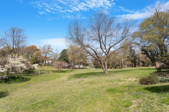 524 N Occoneechee St, Hillsborough, NC 27278 - photo 44