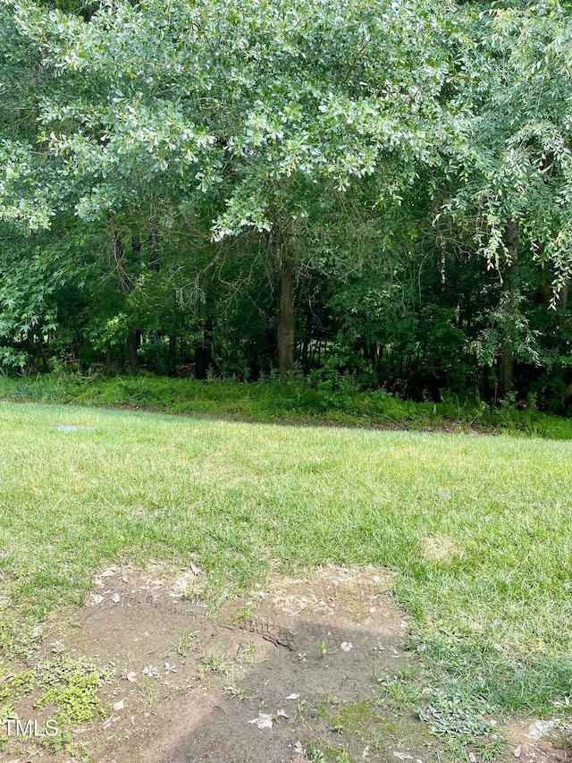 7832 Averette Field Dr, Raleigh, NC 27616 - view of yard