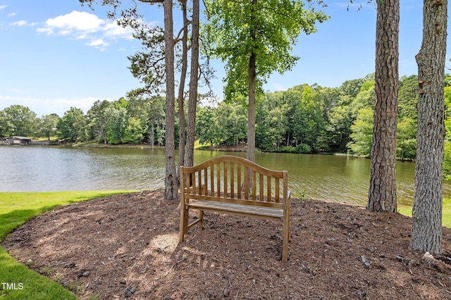 976 Estate Rd, Semora, NC 27343 - photo 57