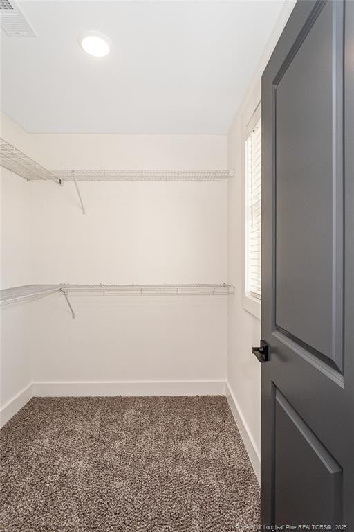 3029 Candlelight Dr, Fayetteville, NC 28311 - walk in closet featuring carpet flooring