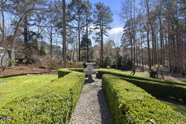 1006 Henny Pl, Raleigh, NC 27614 - view of yard