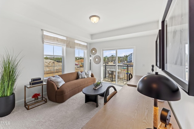 138 N White St # 100, Wake Forest, NC 27587 - carpeted living room featuring plenty of natural light and baseboards