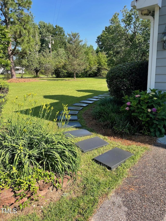 11609 US-401, Fuquay Varina, NC 27526 - view of grassy yard