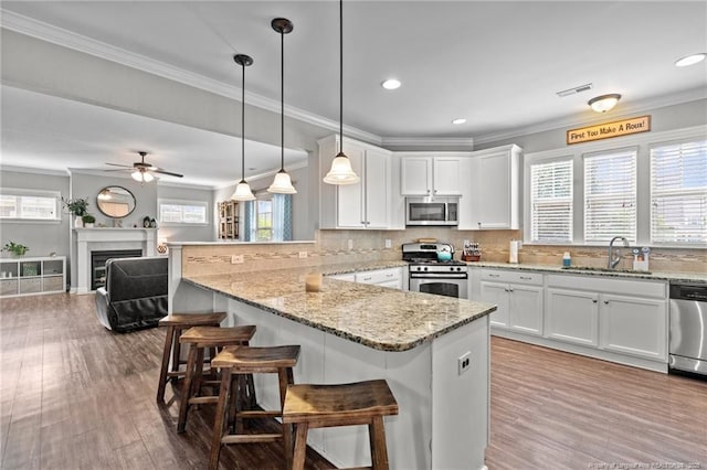 3024 Eagle Crest Ln, Fayetteville, NC 28306 - kitchen featuring stainless steel appliances, a sink, a peninsula, white cabinetry, and wood finished floors