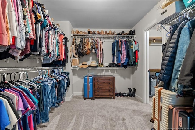 3024 Eagle Crest Ln, Fayetteville, NC 28306 - spacious closet with carpet flooring