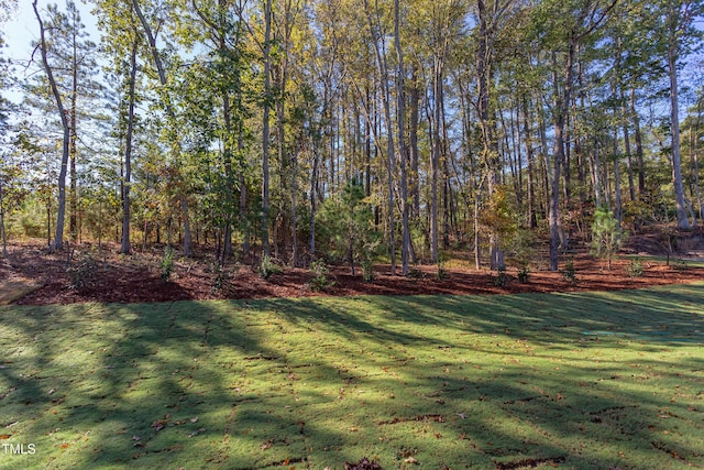 0-1 Rowe Ests, Macon, NC 27551 - view of grassy yard