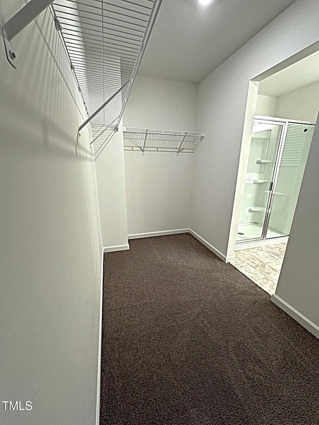 391 Curling Crk Dr, Clayton, NC 27527 - walk in closet with dark colored carpet