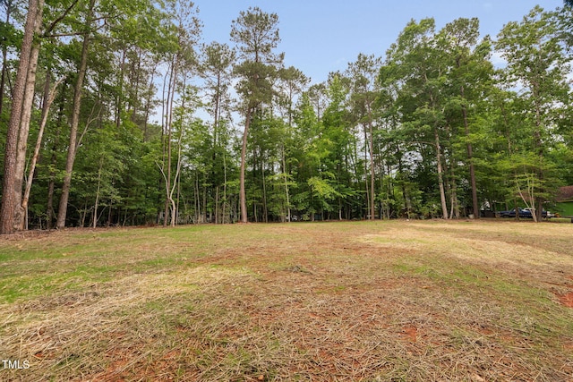 125 Oswego Dr, Louisburg, NC 27549 - photo 44